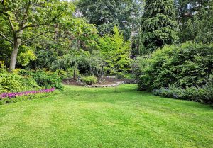 Optimiser l'expérience du jardin à Villiers-les-Aprey